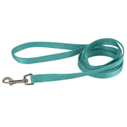 Single Thick 6' Long Leashes