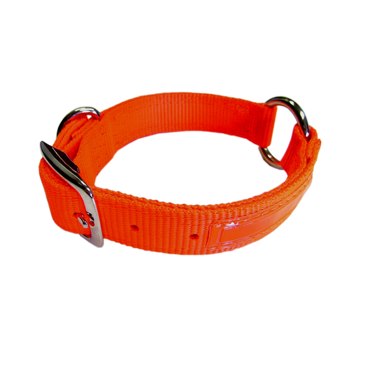 Hunt/Sport Safe-Rite Buckle Collar with Fluorescent Overlay, Large 16"-28"