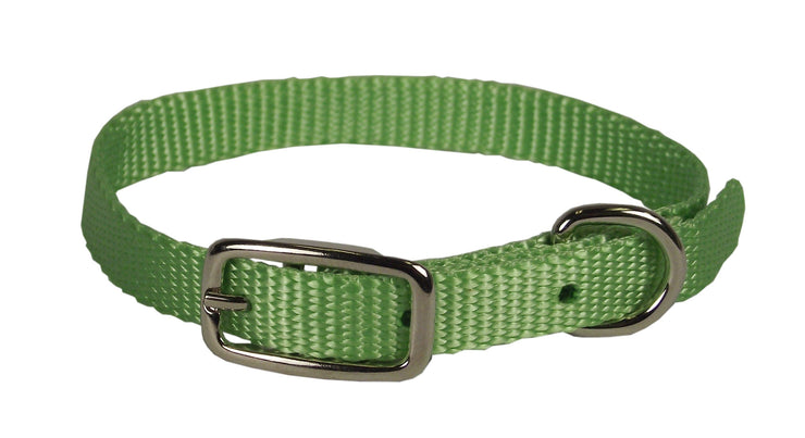Classic Single Thick Buckle Collars, Extra Small - Collar - Hamilton - Miracle Corp